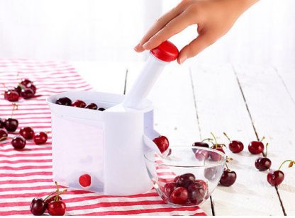 Beli Aparat za čišćenje koštica iz višanja i trešanja - Slika 3